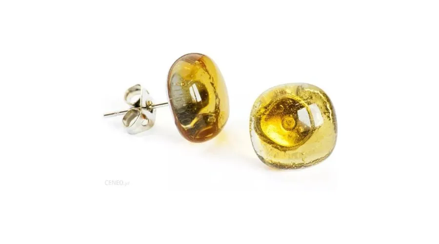 Puzety Glass Amber Earrings N1813