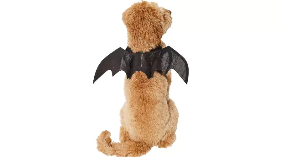 Frisco Bat Wings Dog & Cat Costume