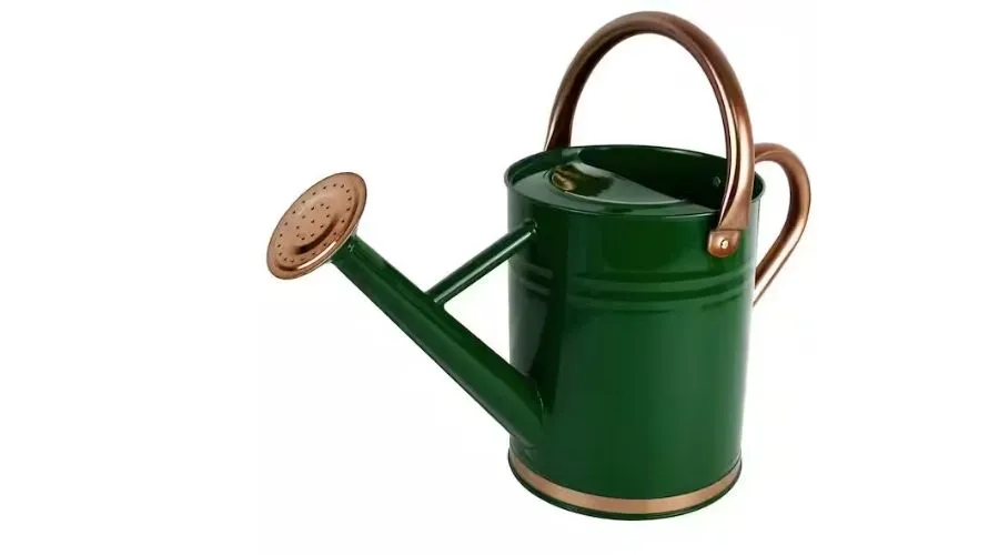 Watering Can With Duomando Chrome Moen