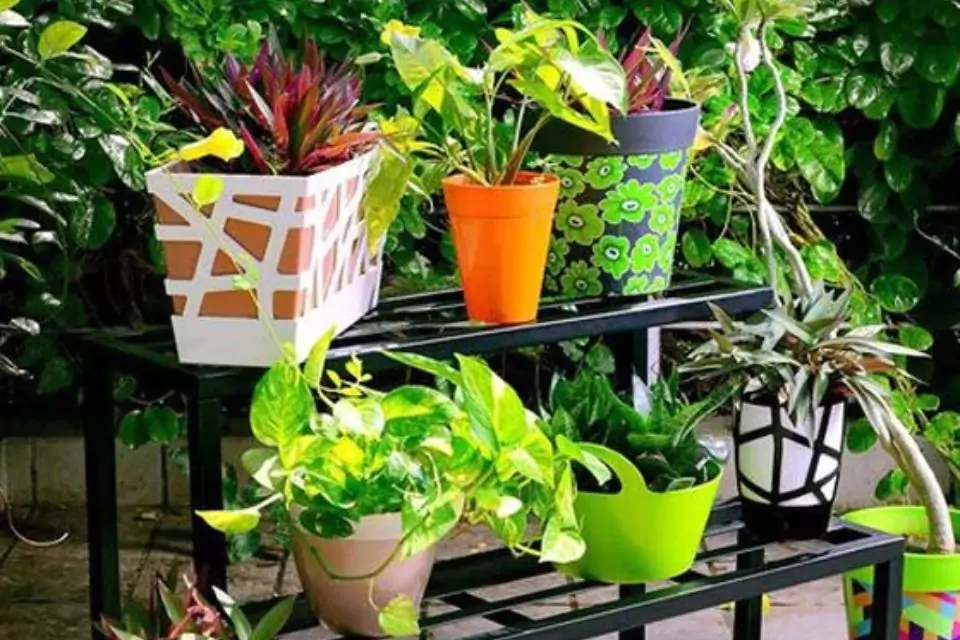 Plant pot stands