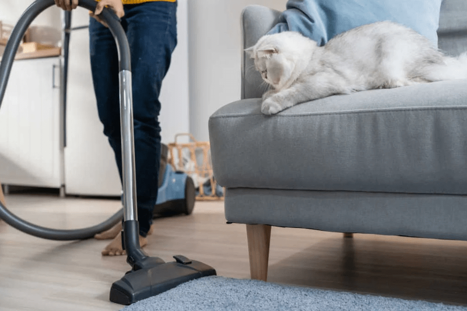 Carpet cleaner vacuum for pet hair