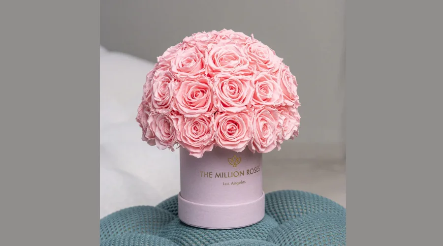 Basic Light Pink Suede Box Light Pink Roses