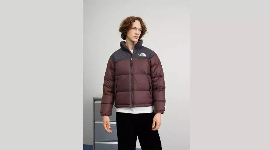 Retro Nuptse Jacket in Brown