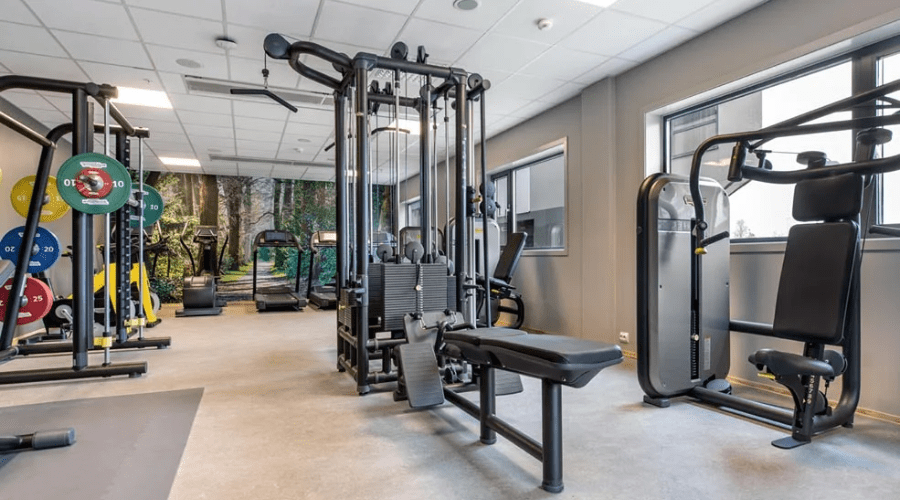 Fitness and Wellness