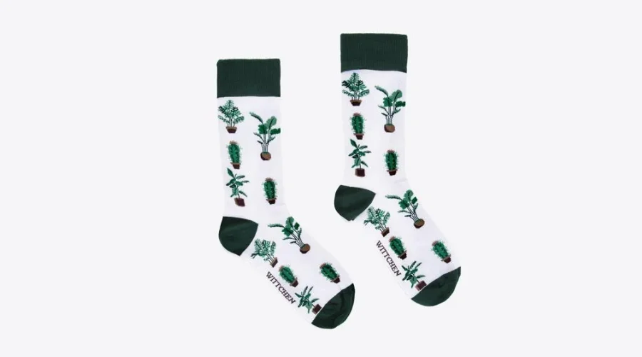 Men's Socks with Potted Plants in White, Green