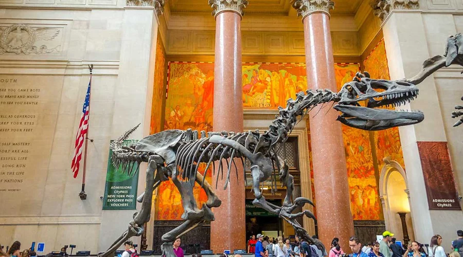 Museum of Natural History