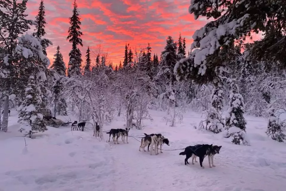 Things to do in kiruna