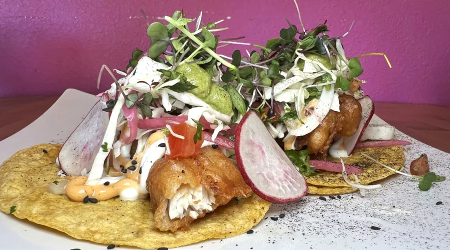 Best Tacos In San Antonio