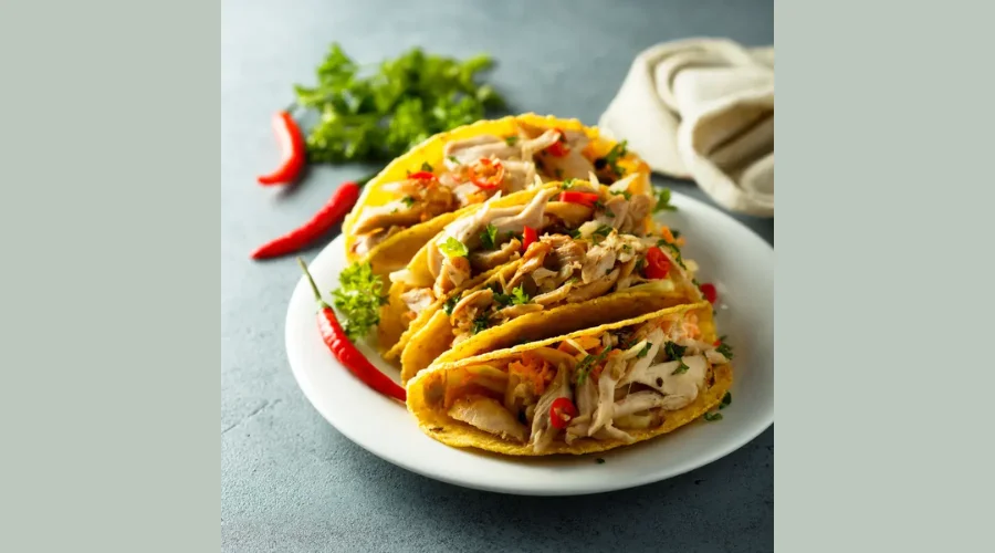 Gourmet and Fusion Tacos