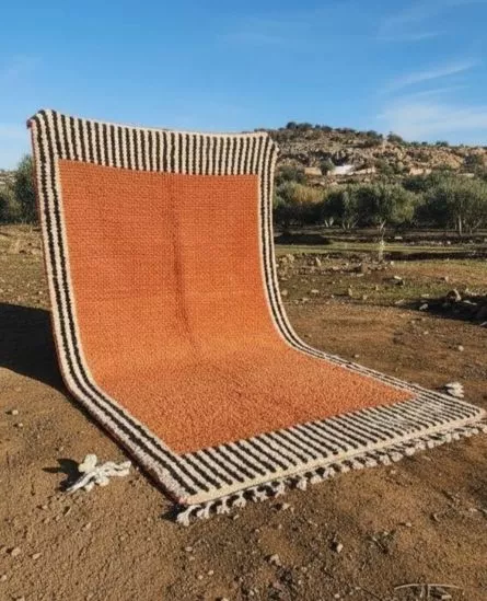Hand-tufted rugs | Frontceleb