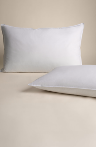 2-Pack Duck Feather and Down Firm Pillows