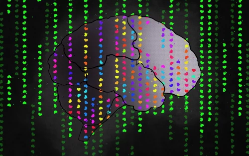 A1 75._Neural_Code_New_V2_Final