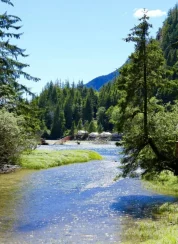 CLAYOQUOT WILDERNESS RESORT (2)