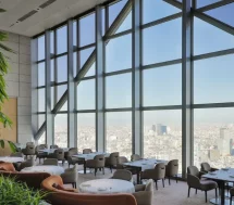 Park Hyatt Tokyo (4)