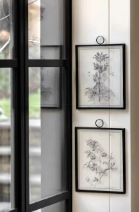 Set-of-2-Petiole-Framed-Art