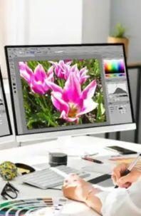 The Complete Graphic Design Theory for Beginners Course (1)