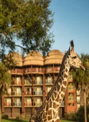 disney-s-animal-kingdom-lodge (2)