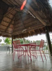 Hotels near Miami cruise port | Frontceleb