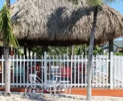Hotels near Miami cruise port | Frontceleb