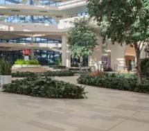 Hotels near Disney World | Frontceleb