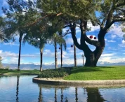 Luxury staycations US | Frontceleb